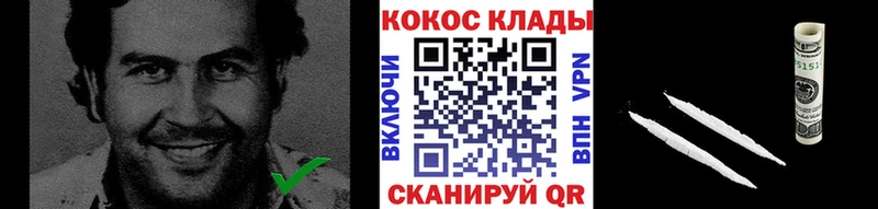 COCAIN Fish Scale  Купить  Мамоново 