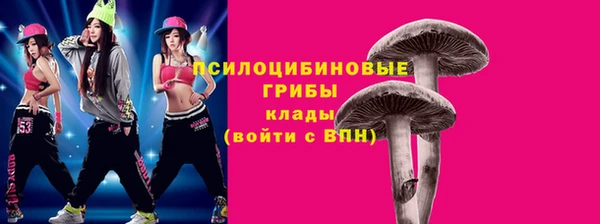 амф Зеленодольск