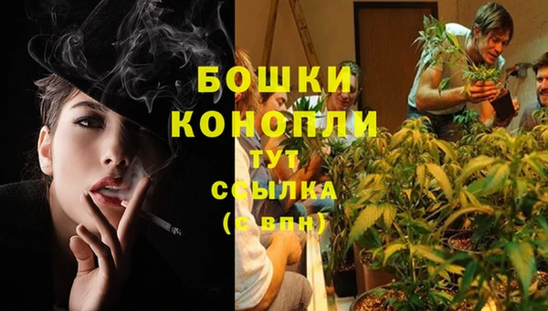 амф Зеленодольск