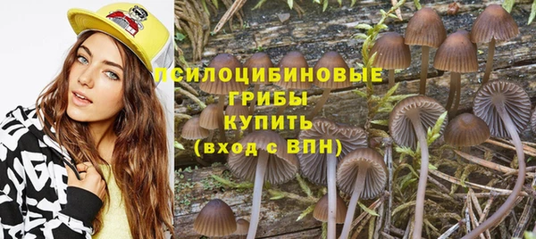 стафф Заволжье