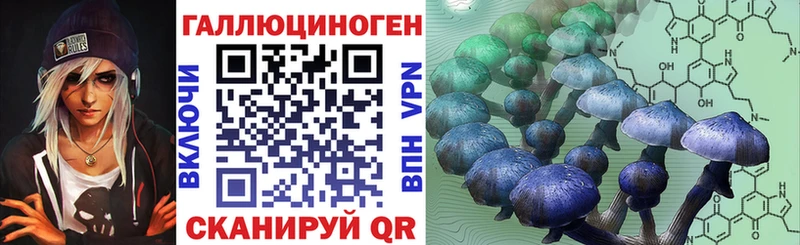 Псилоцибиновые грибы Psilocybine cubensis  Купить закладки  Мамоново 